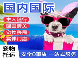 武汉天河机场快运国际宠物托运 【国